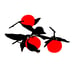 Image of Big Red Fruit Sticker