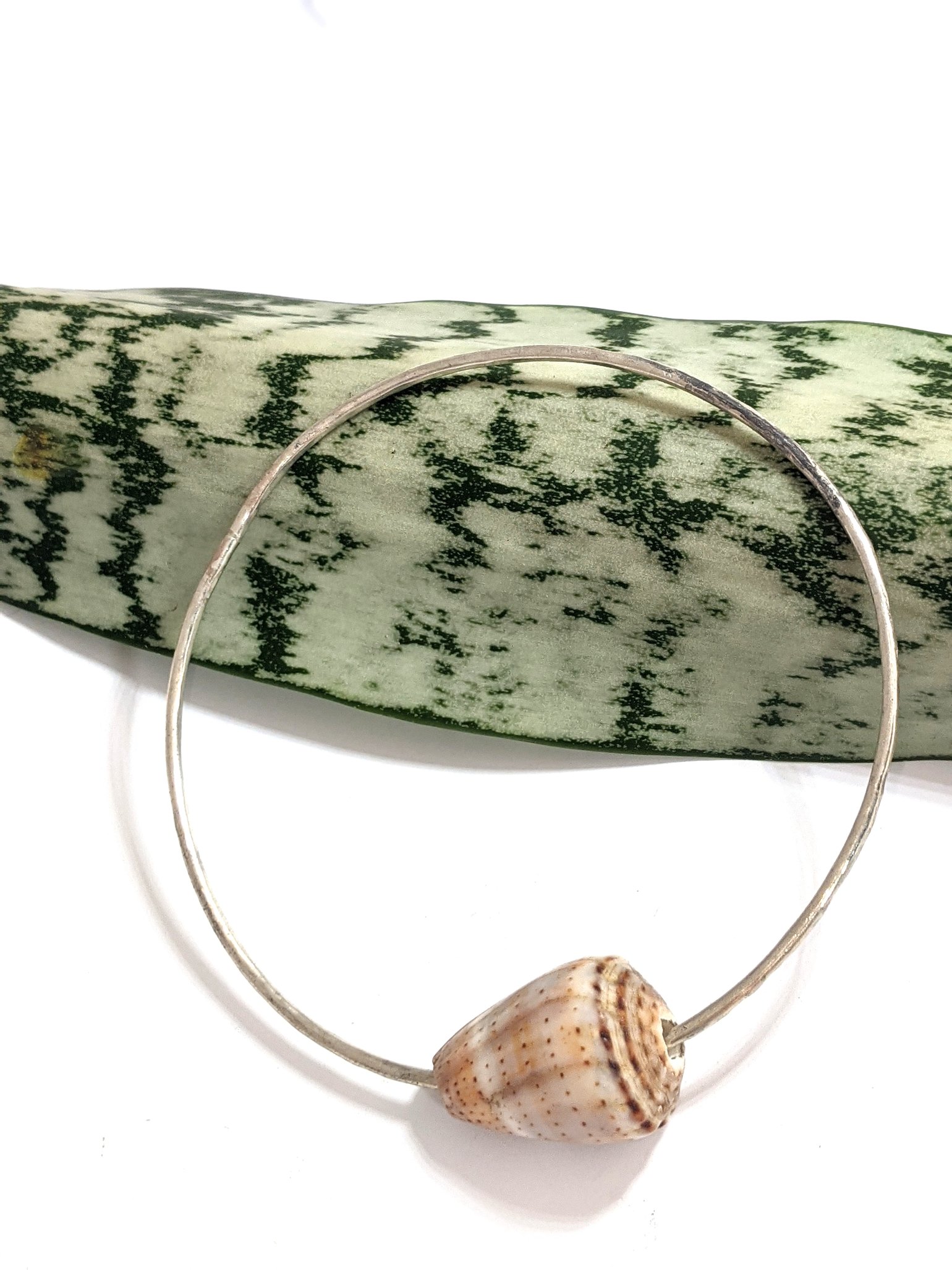 Image of Large spotted cone shell bangle