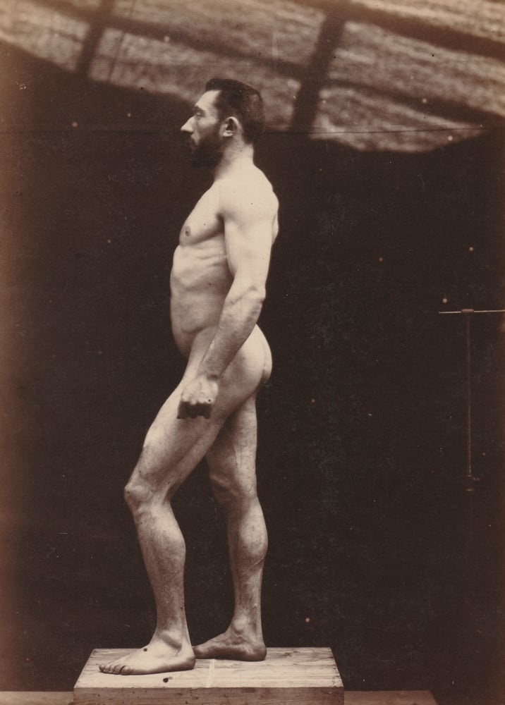 Image of Paul Richer: "Nu masculin, vu de profil", ca. 1890