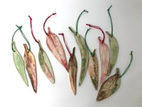 Image 3 of Gum Leaves