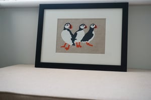 Image of Puffins