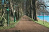WALK. PHOTO PRINT