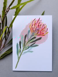 Image 1 of Scarlet Ribbon