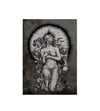 Zodiac Queen Art Print