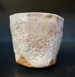 Organic form yunomi #19