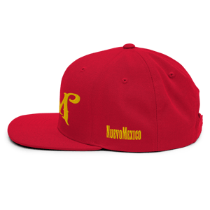NM Monogram Snapback Hat