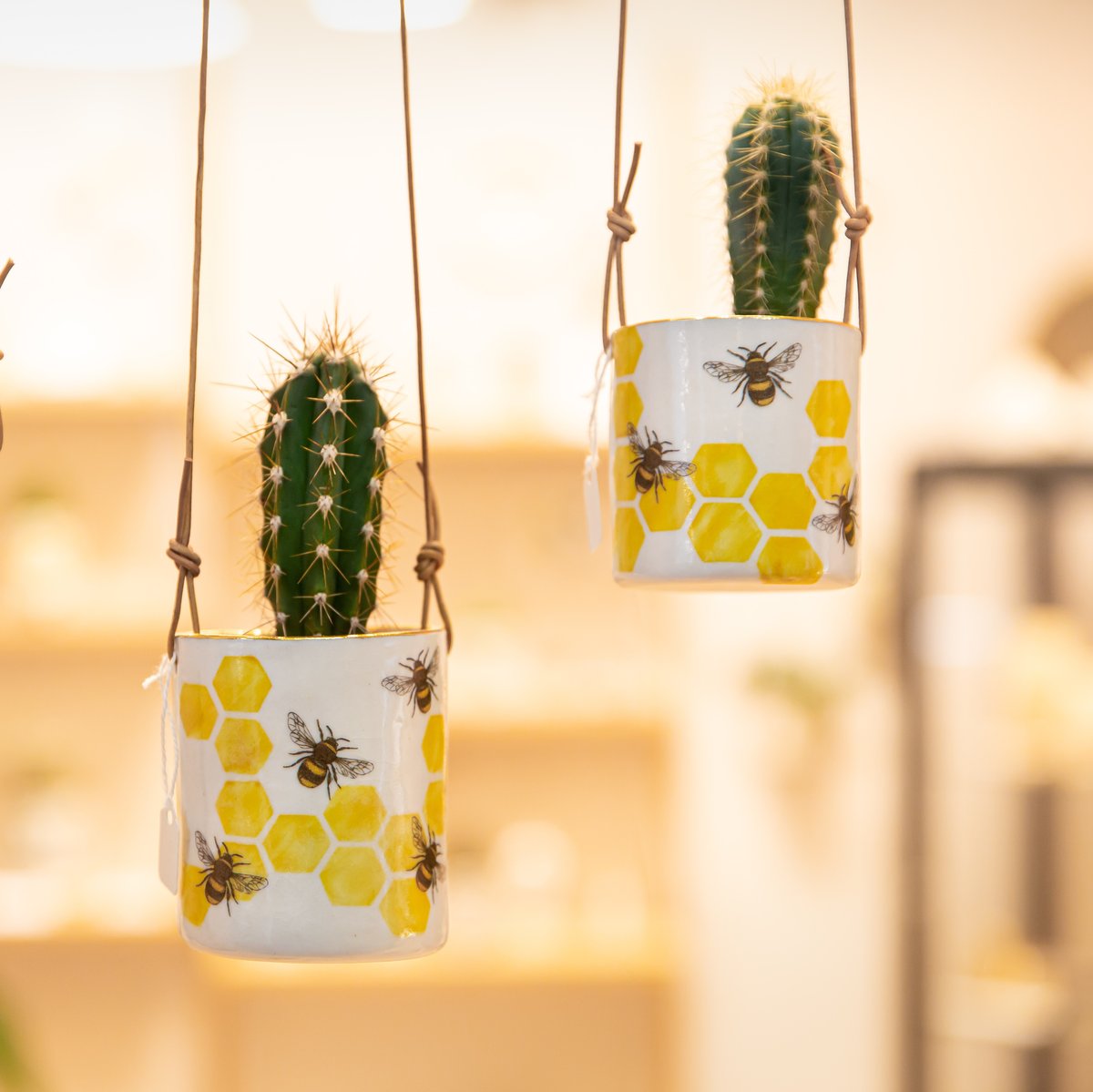 Porcelain screen printed hanging bee planter