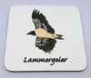 4 Pack Lammergeier Coaster Set