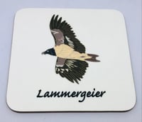 Image 1 of 4 Pack Lammergeier Coaster Set