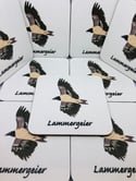 4 Pack Lammergeier Coaster Set
