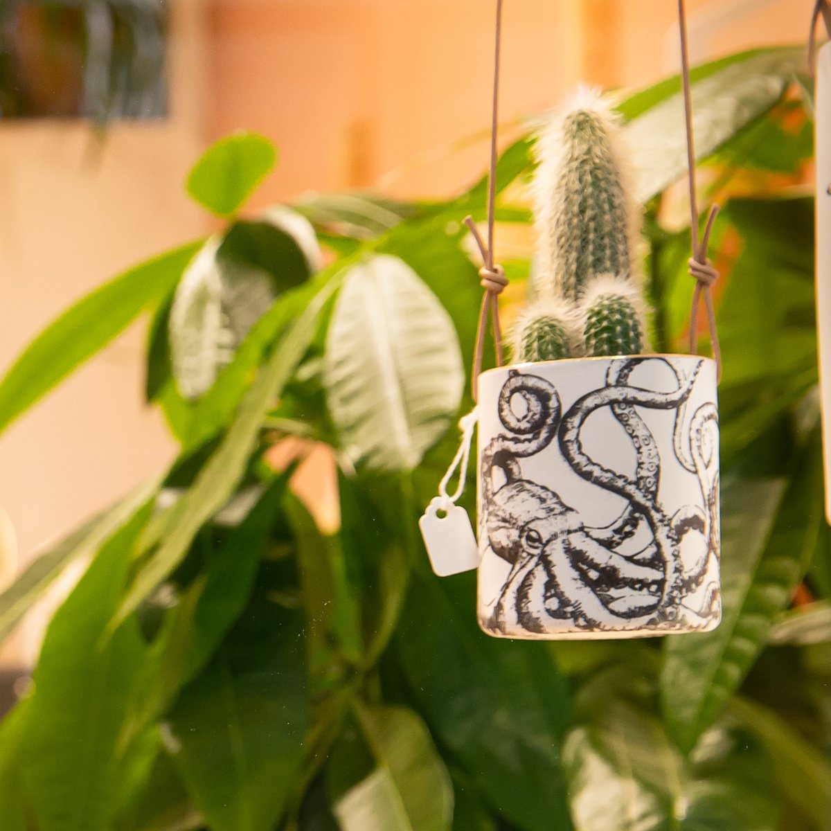 Porcelain octopus hanging planter