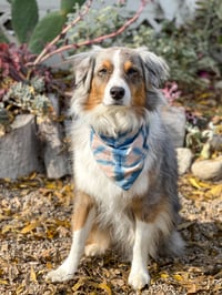 Image 2 of Indigo & Avocado Dyed Dog Bandana