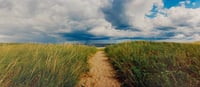 Path to the Beach