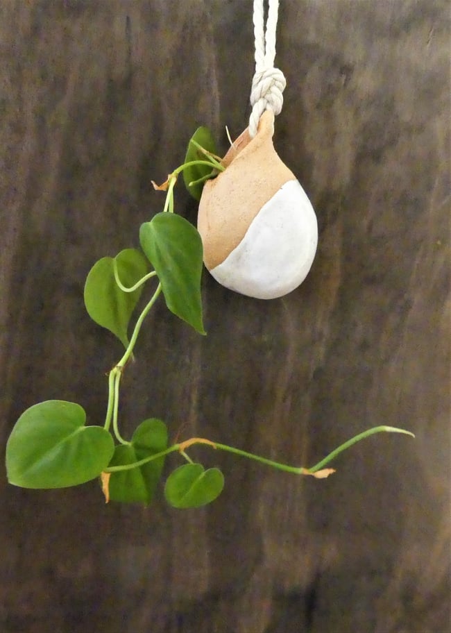Small Hanging Propagation Vase 