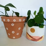 Large Daisy Pot