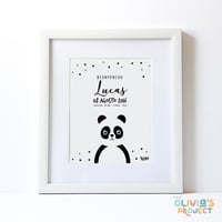 Lámina de nacimiento Modelo Panda