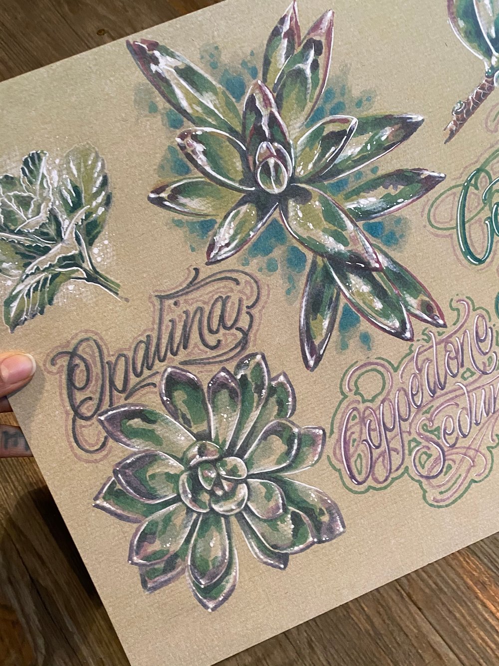 Image of Succulent Babes