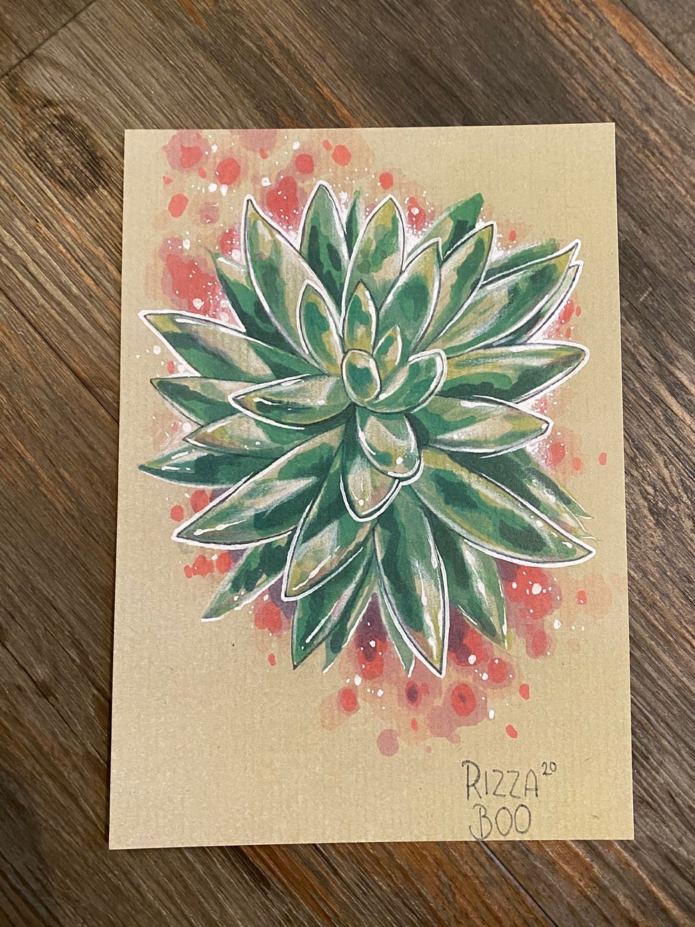 Image of Donkey tail succulent 