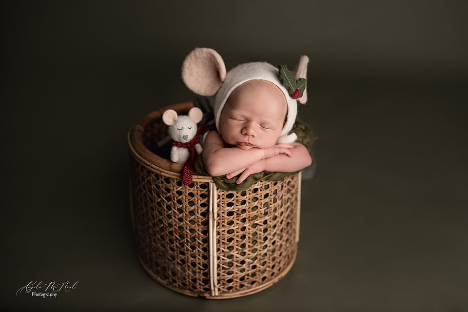 Image of Buy One Get One Free  Newborn Mini + Divine Maternity