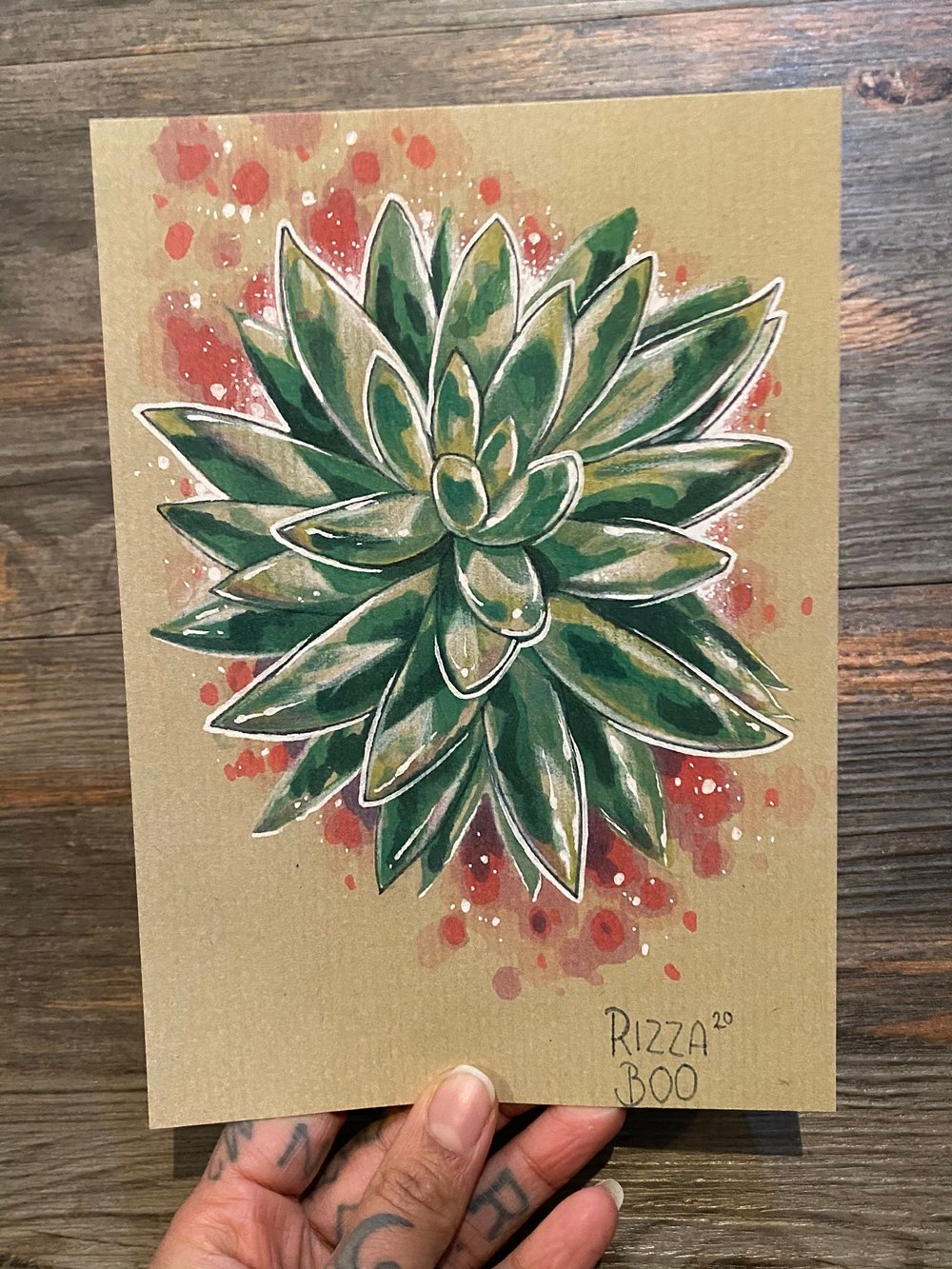 Image of Big Succulent Set