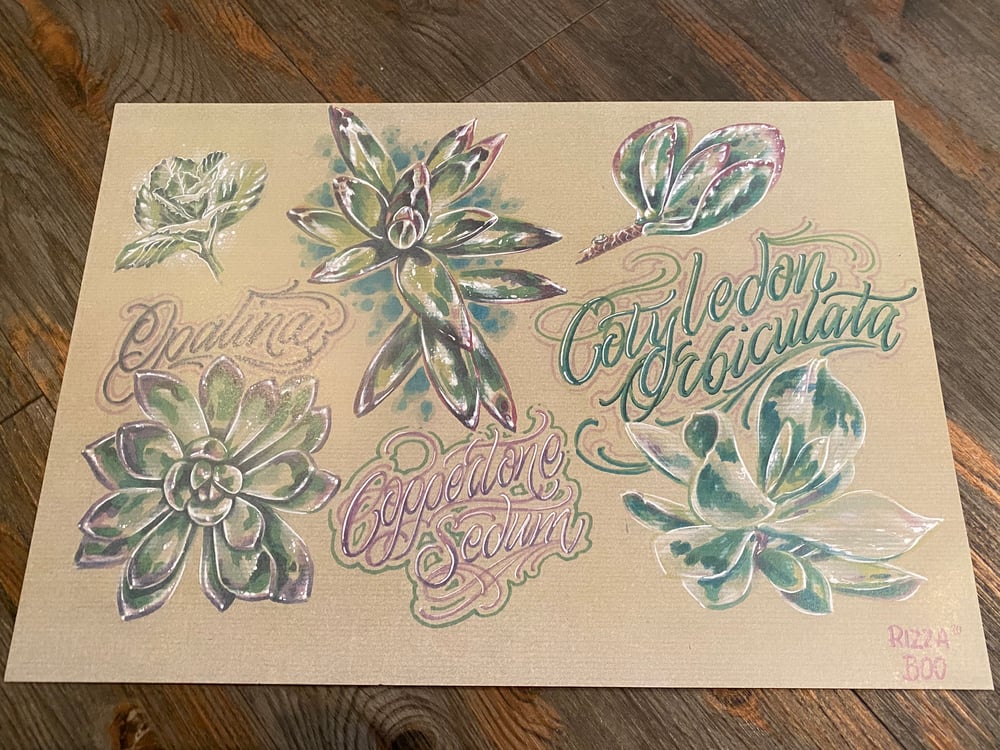 Image of Big Succulent Set