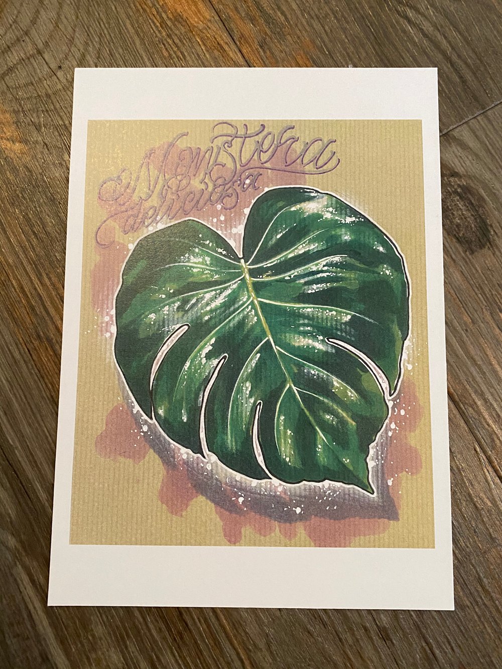 Image of Mini Monstera