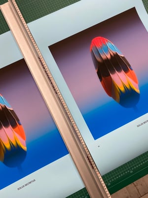 Image of Weird Flowers - Solus Secretus