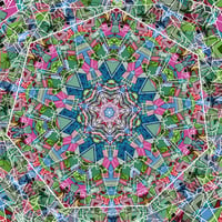 Image 1 of Transient Mandala