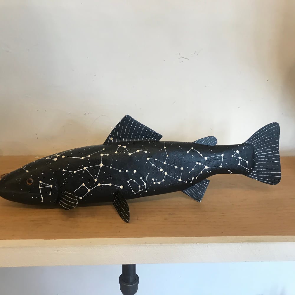 Image of Cosmic trout 