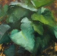 Original fine art painting by Sarah Griffin Thibodeau “Elephant Ears””