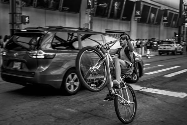 Image of Bronx 2018 Gallery Print