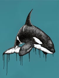 Image 1 of Orca