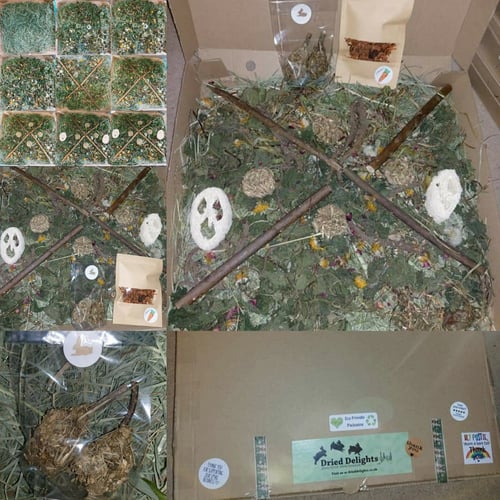 Image of Pizza forage box (in an actual 15 inch pizza box!!) (FAKEAWAY RANGE)