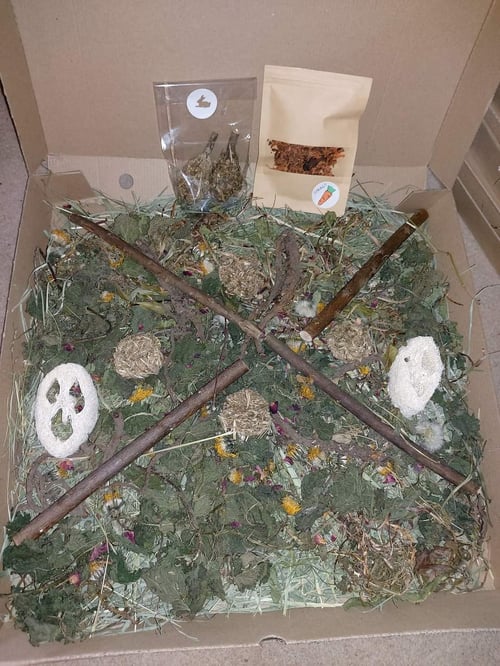 Image of Pizza forage box (in an actual 15 inch pizza box!!) (FAKEAWAY RANGE)