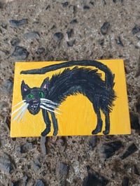 Image 1 of Scaredy Cat