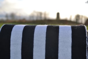Image of Thompson 2013 scarf