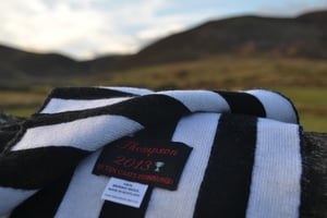 Image of Thompson 2013 scarf