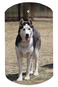 Image 3 of Pets