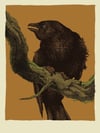 "Three Crows Have Something to Say" • Set of 3 Screen Printed Blank Cards