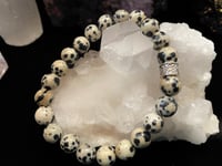 Image 1 of Dalmatian Jasper Healing Bracelets