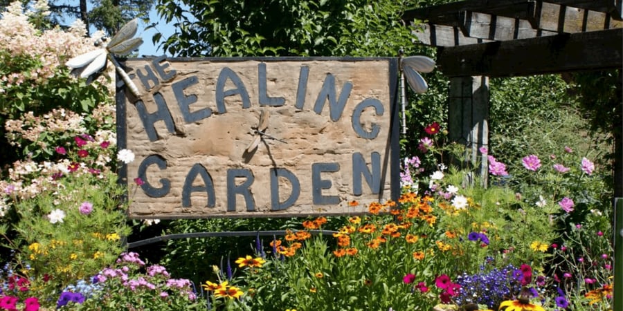 Image of Healing Garden Oasis-Sponsorship (Non-Profit)