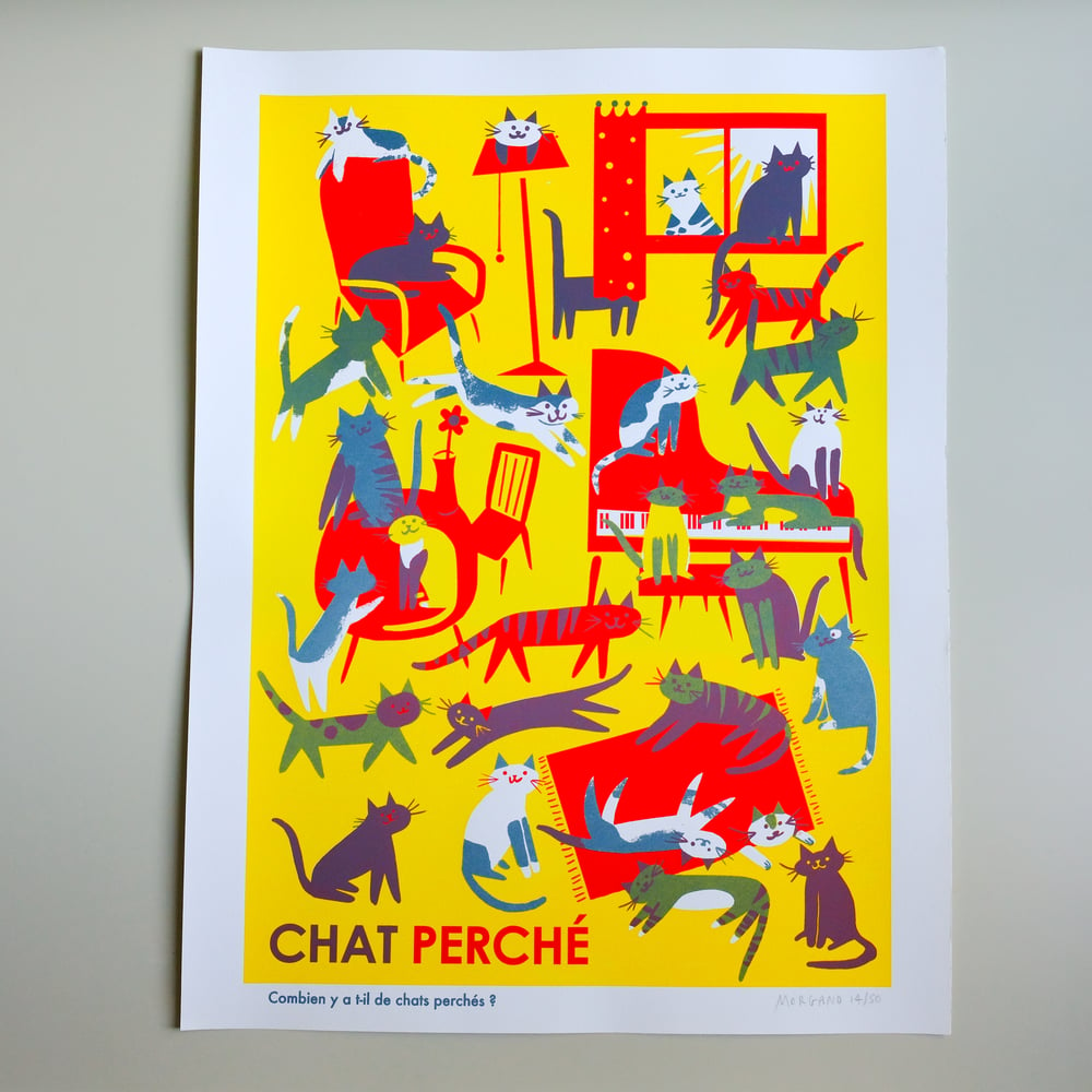 Image of Chat Perché