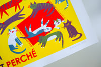 Image 2 of Chat Perché