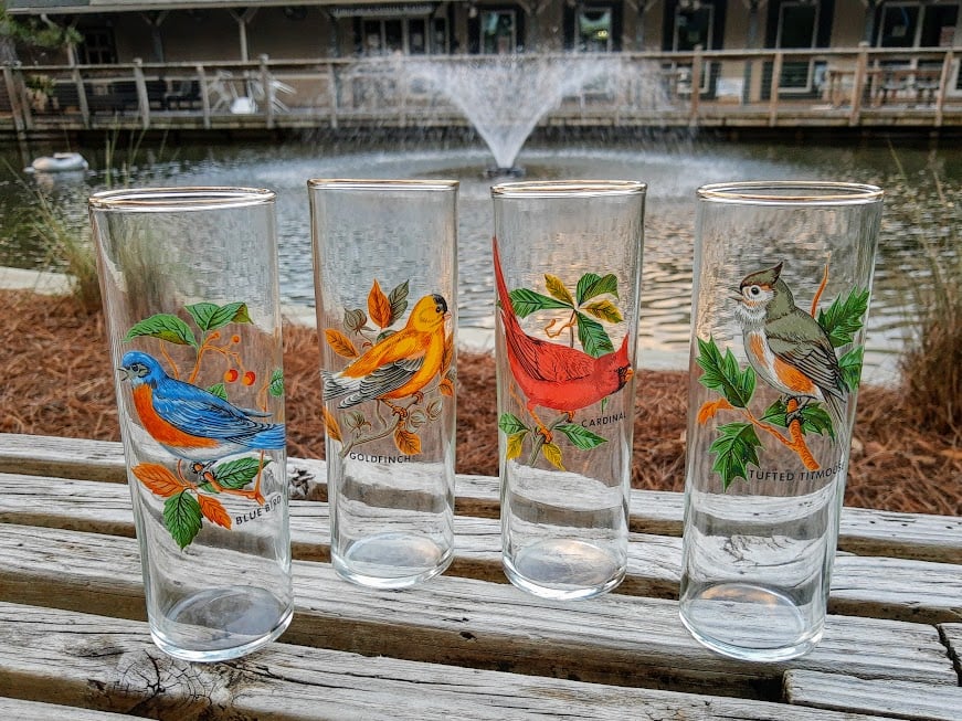 Vintage North American Bird Glasses The Junk Bug