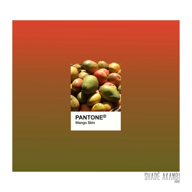 •pantone• of The Dae : mango skin