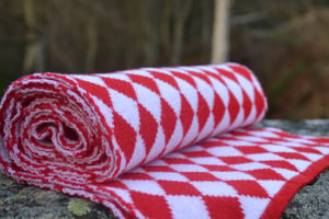 Image of The Broomfield scarf