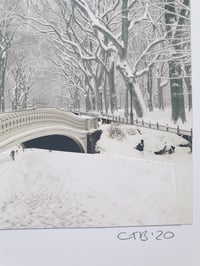 Image 4 of Winter in America