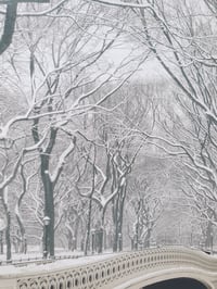 Image 5 of Winter in America