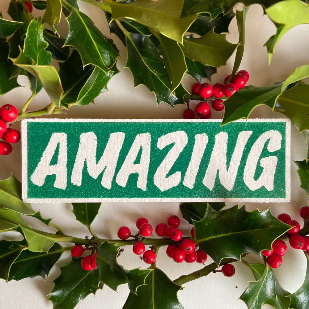 Image of Festive Green - Pocket Sized Amazing by Charlie Evaristo-Boyce