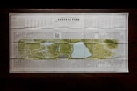Image 1 of Central Park Squirrel Census 'Terrestrial' Map